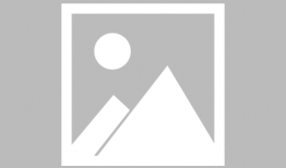 视频在线观看,在线观看必看亮点解析